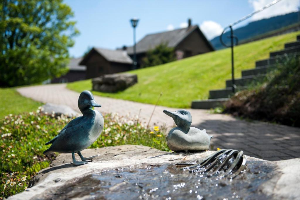 Schwendi Lodge Unterwasser Eksteriør bilde